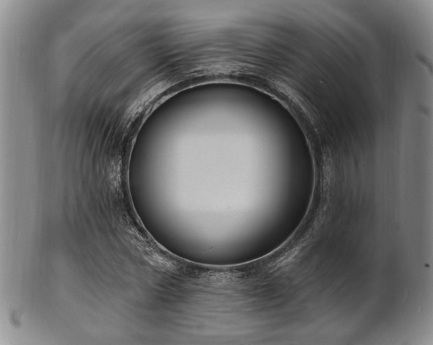 X0000101690778200807101512