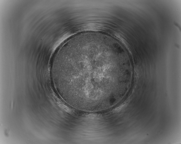 X0000101690779200807101512