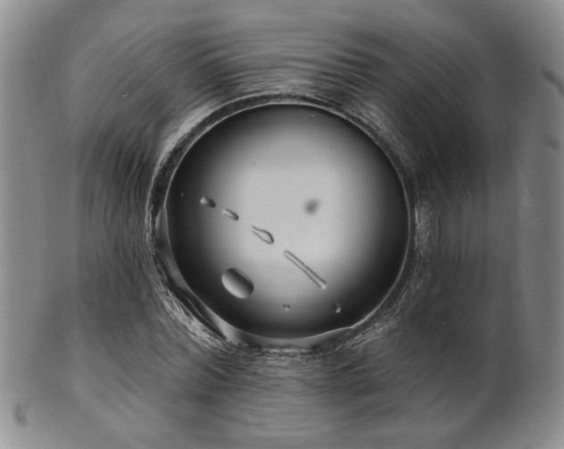 X0000101690780200807101512