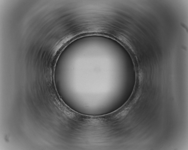 X0000101690781200807101512