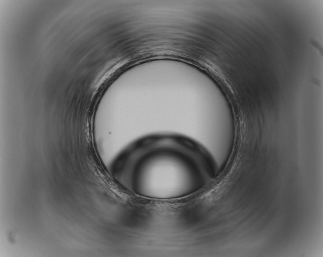 X0000101690782200807101512