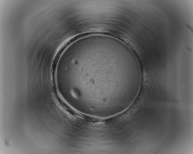 X0000101690784200807101512