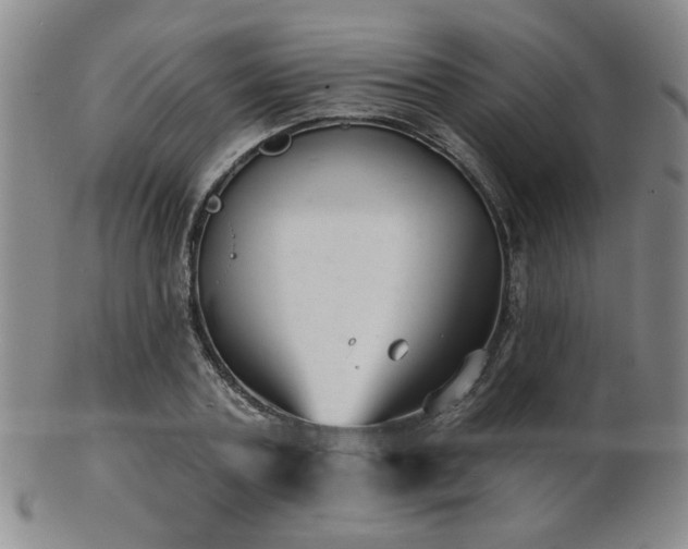 X0000101690787200807101512