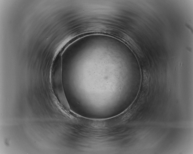 X0000101690788200807101512