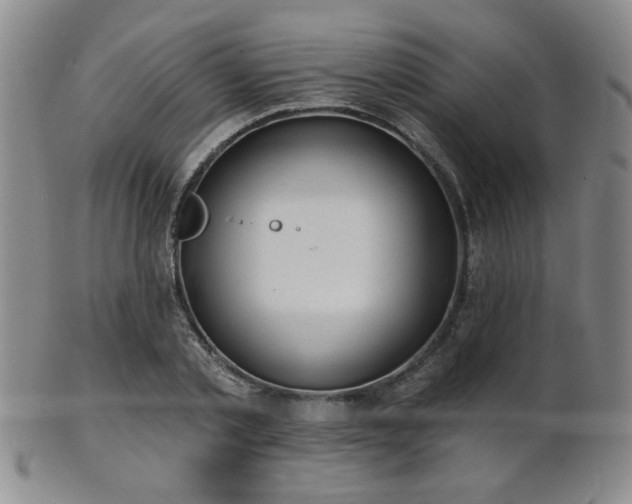 X0000101690789200807101512