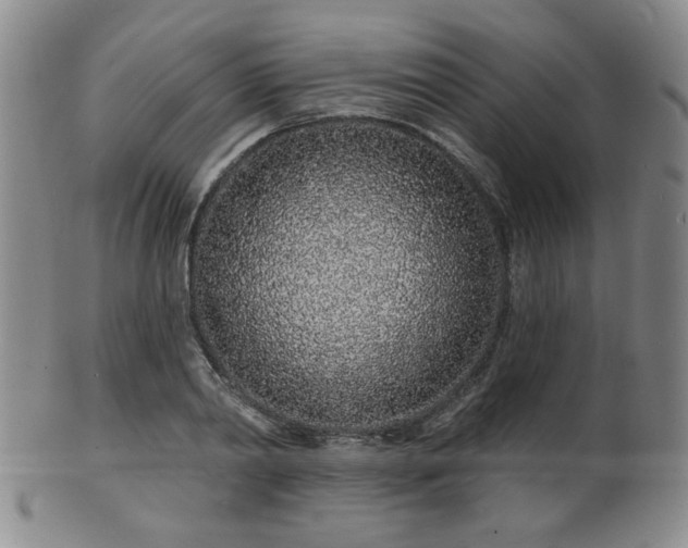 X0000101690790200807101512