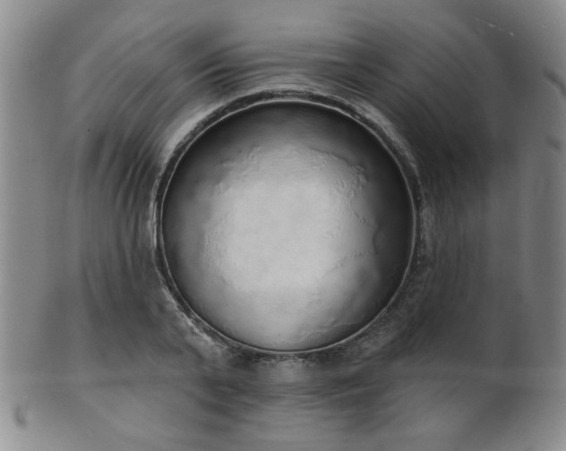 X0000101690791200807101512