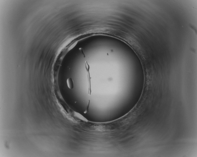 X0000101690792200807101512