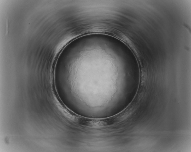 X0000101690795200807101512