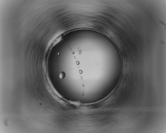 X0000101690796200807101512