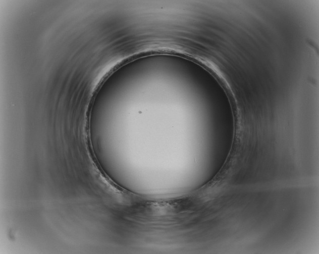 X0000101690799200807101512