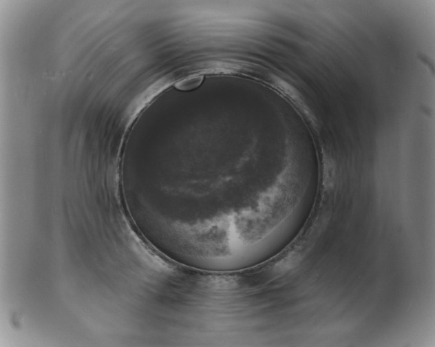 X0000101690802200807101512