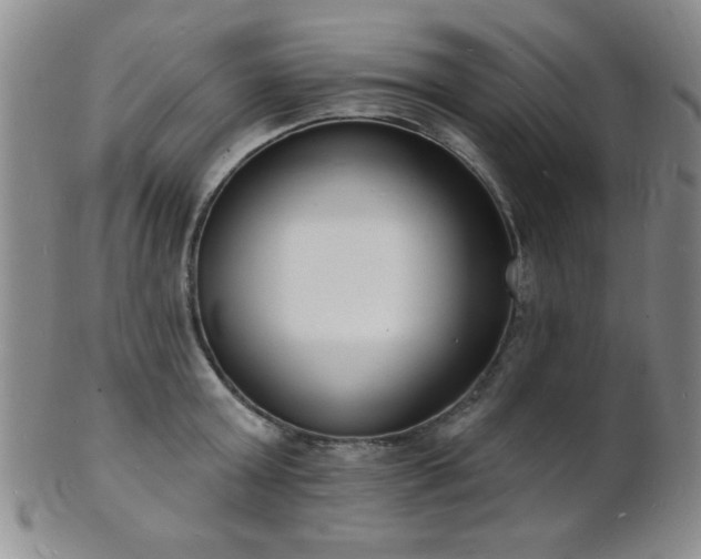 X0000101690803200807101512