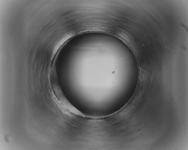 X0000101690804200807101511