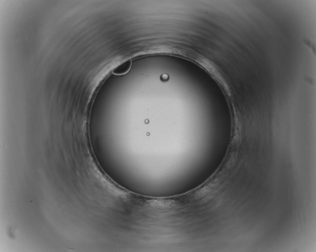 X0000101690805200807101511