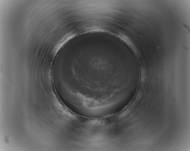 X0000101690806200807101511