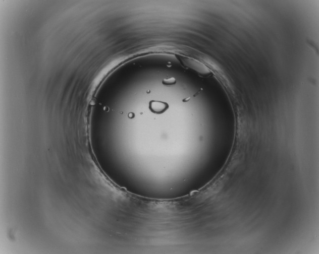 X0000101690808200807101511