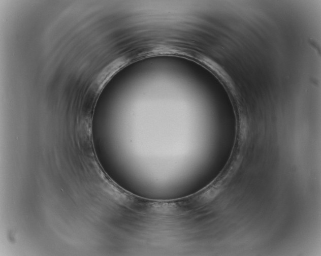 X0000101690809200807101511