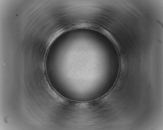 X0000101690810200807101511