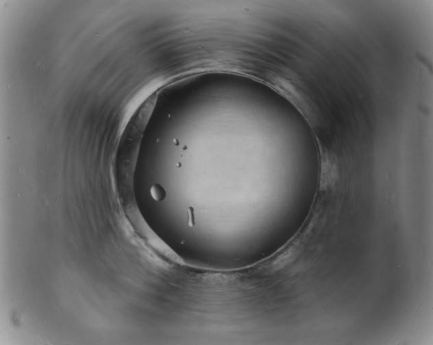 X0000101690812200807101511