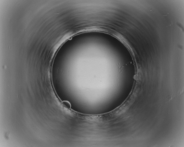 X0000101690813200807101511