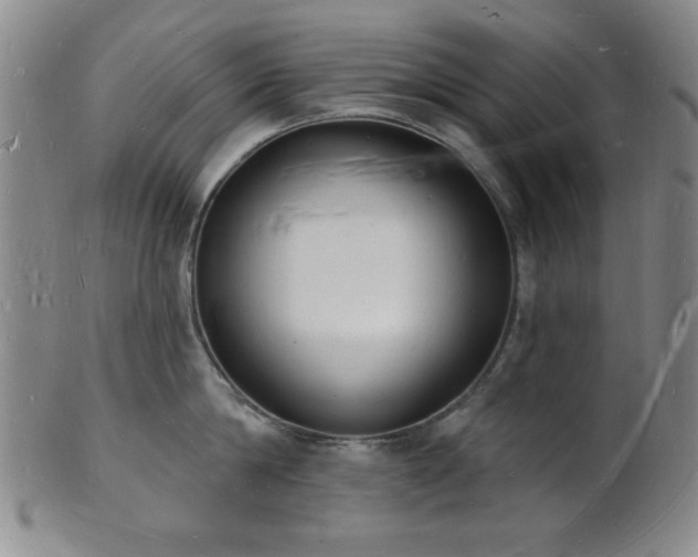 X0000101690814200807101511