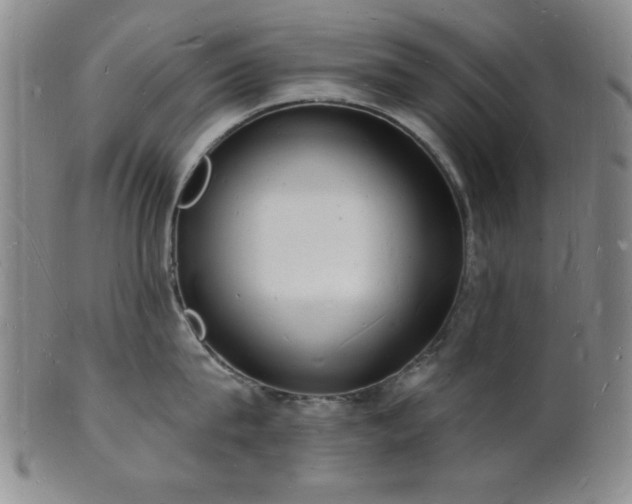 X0000101690815200807101511