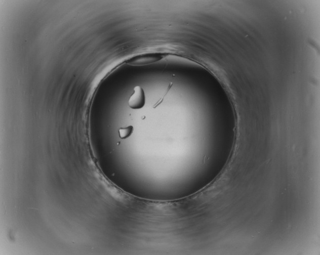 X0000101690816200807101511