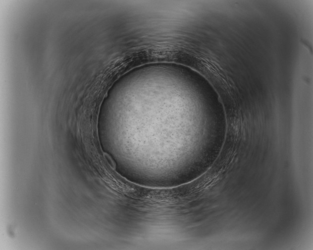 X0000101690817200807101511