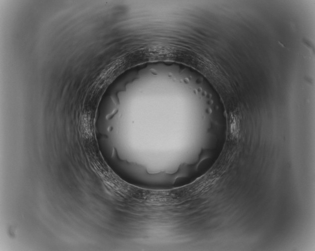 X0000101690819200807101511