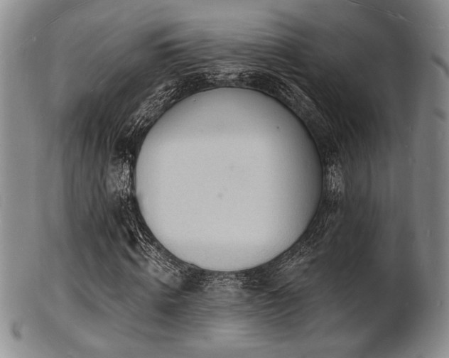 X0000101690820200807101511