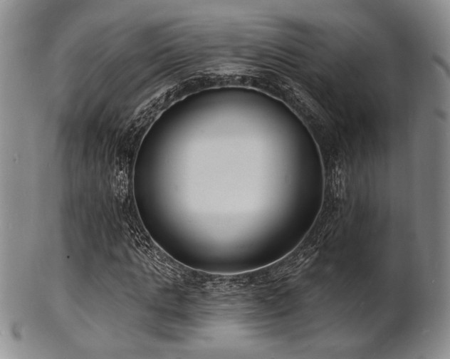 X0000101690821200807101511