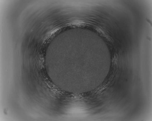 X0000101690822200807101511