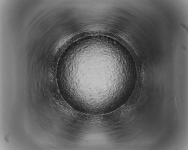 X0000101690823200807101511