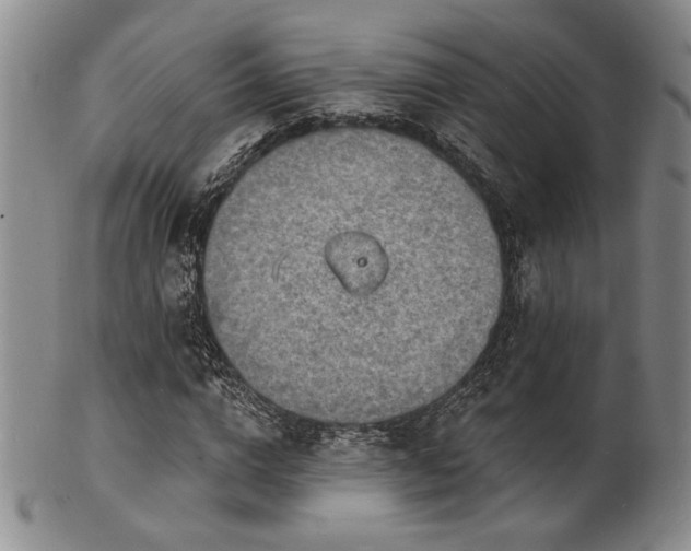 X0000101690824200807101511