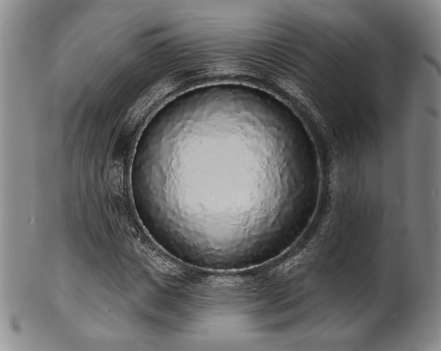 X0000101690825200807101511