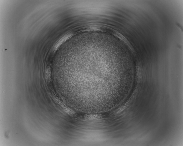 X0000101690826200807101511