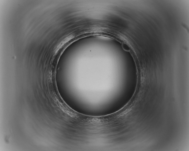 X0000101690827200807101511