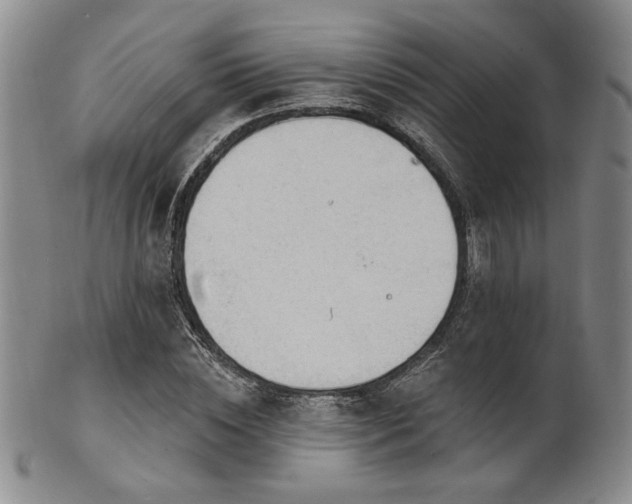 X0000101690828200807101511