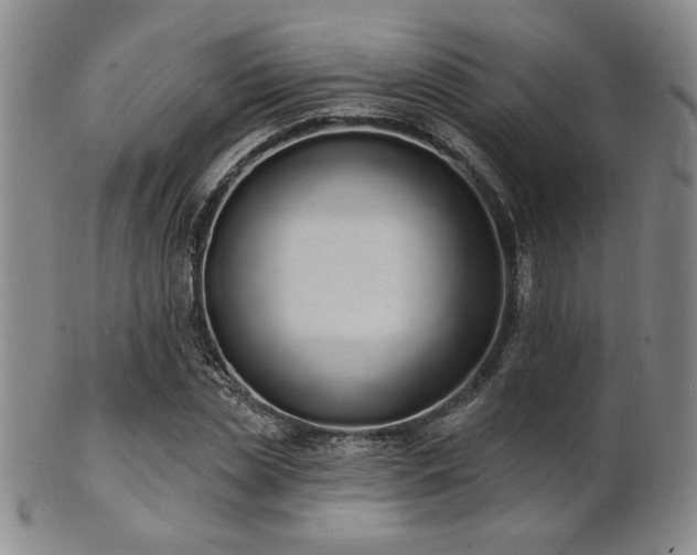 X0000101690829200807101511