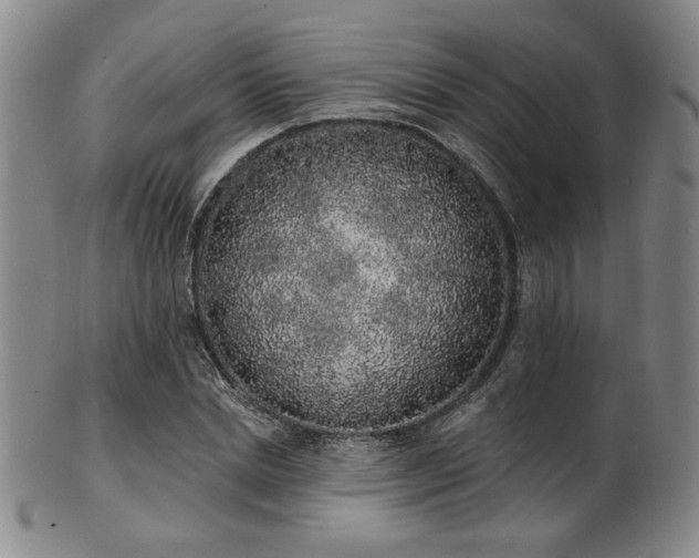 X0000101690830200807101511