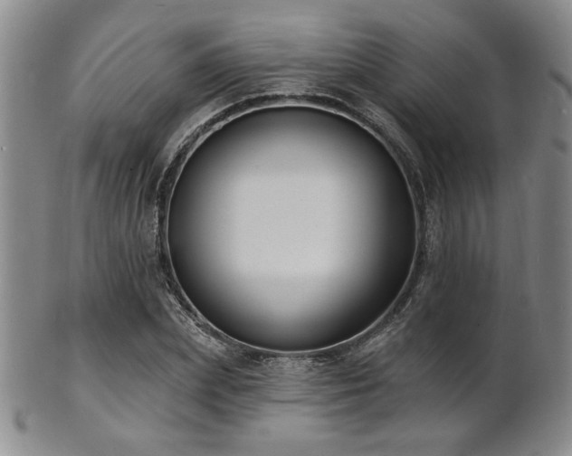 X0000101690831200807101511