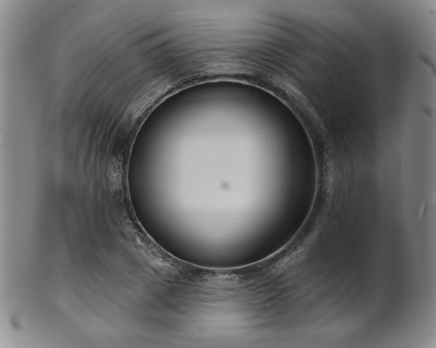 X0000101690833200807101511