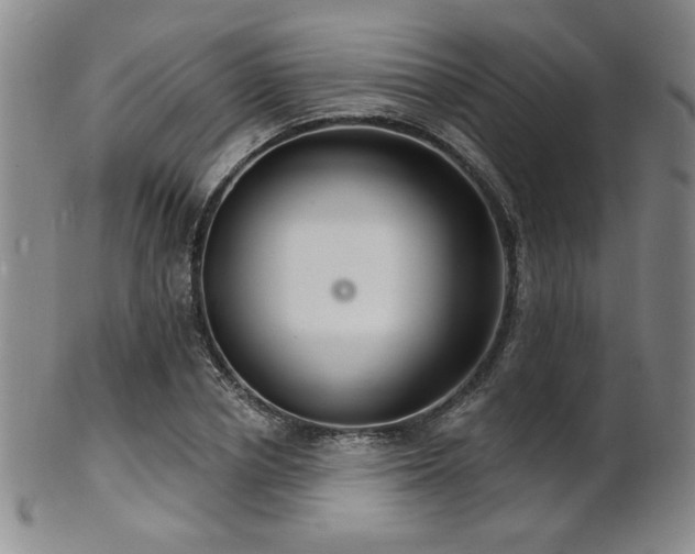 X0000101690834200807101511