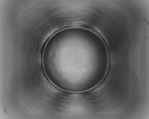 X0000101690835200807101511