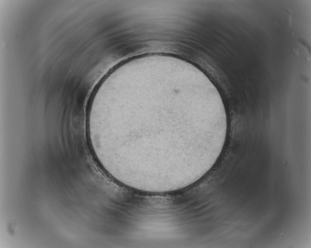 X0000101690836200807101511