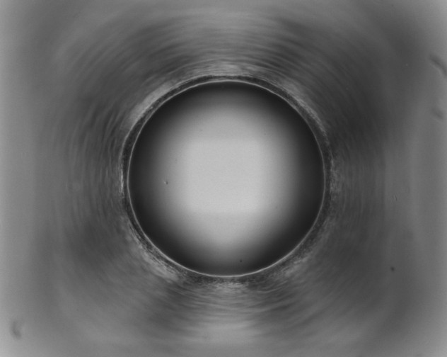 X0000101690837200807101511