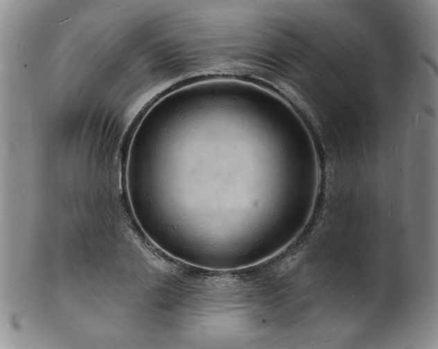 X0000101690838200807101511