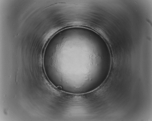 X0000101690839200807101511