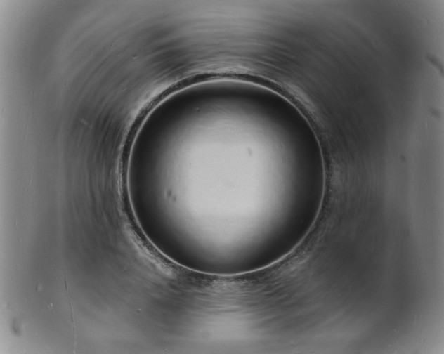 X0000101690840200807101511